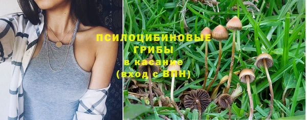 альфа пвп Медногорск